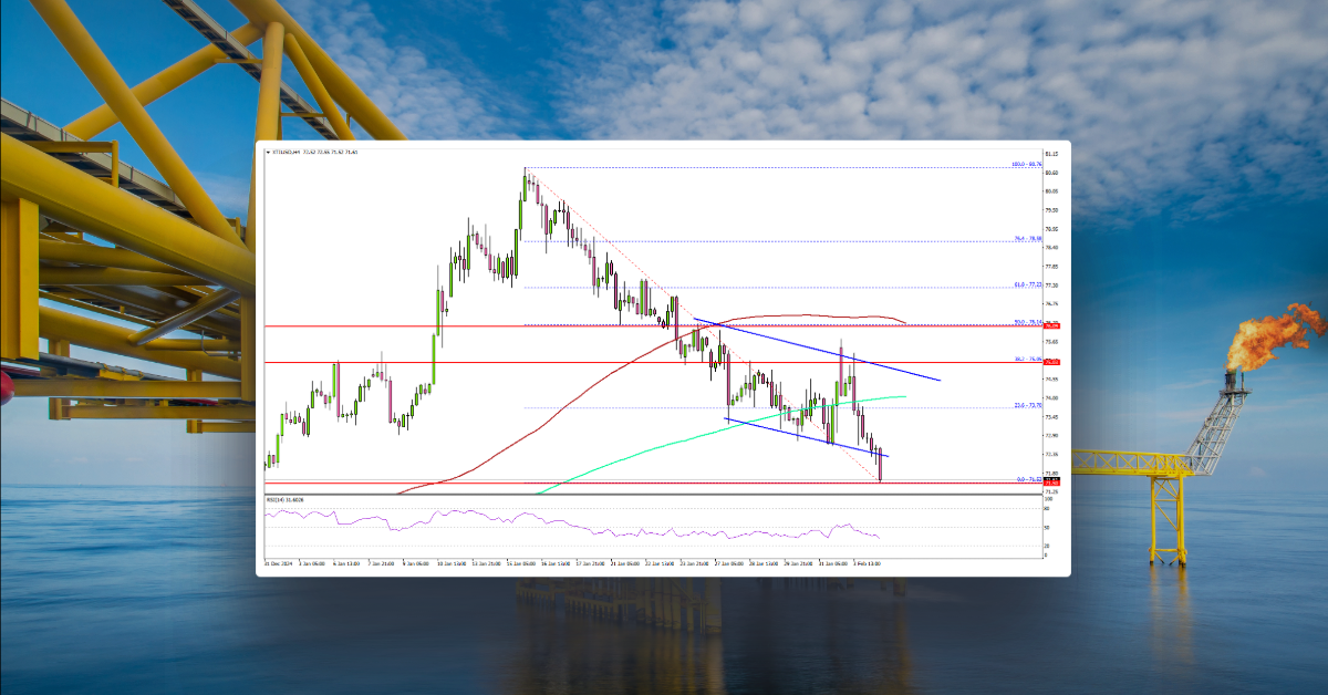 WTI Crude Oil Prices Drop: Can Bulls Defend Key Support?