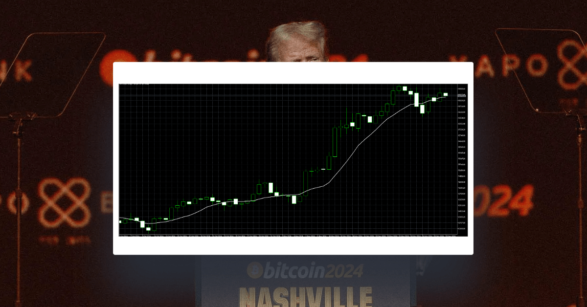 今週のトランプトレード：12月2日の週の注目すべきトレード