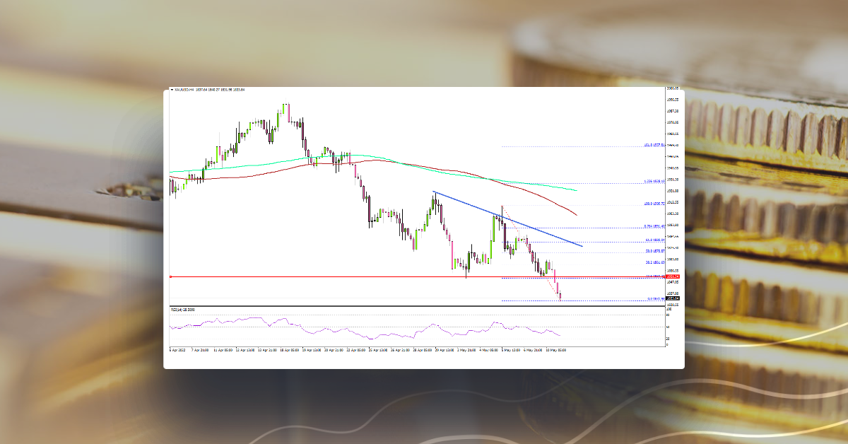 Gold Price Might Extend Decline, US CPI Next