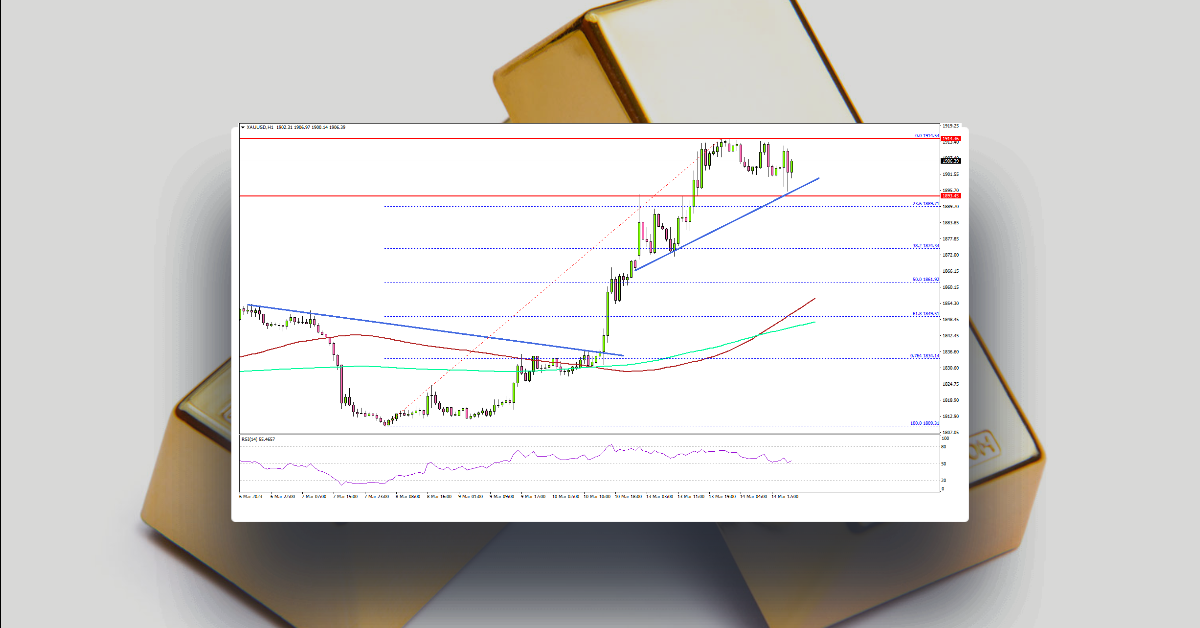 Gold Price Consolidates Gains, US CPI Slides Further