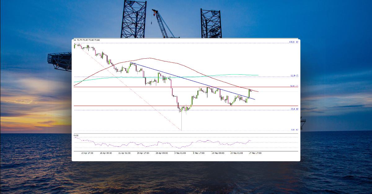 Crude Oil Price Starts Recovery But Faces Hurdle