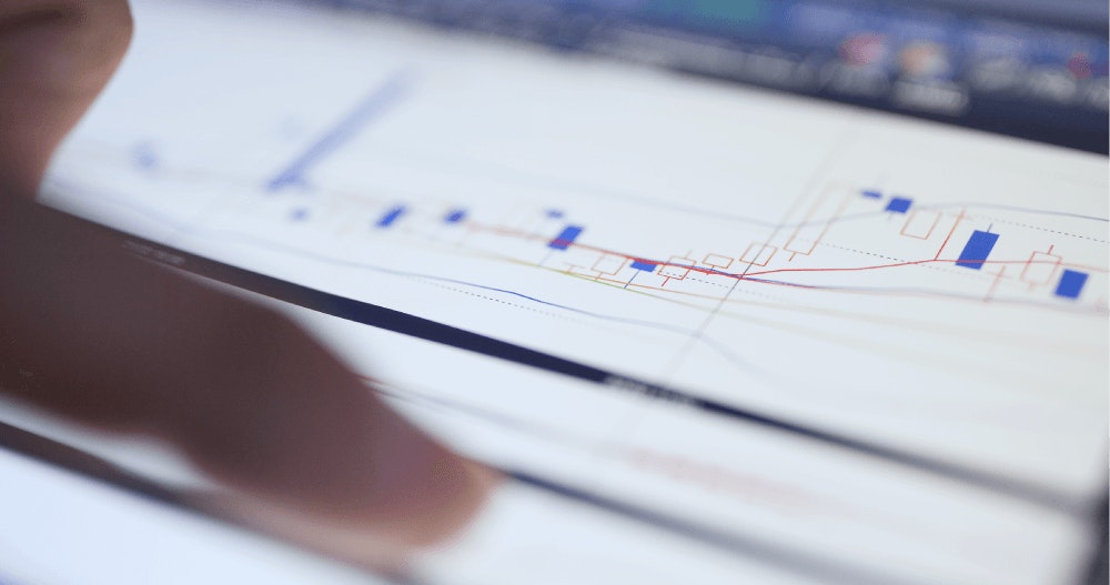 This Weeks Focus Image