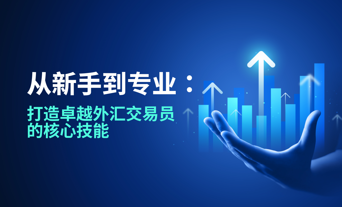 从新手到专业：打造卓越外汇交易员的核心技能